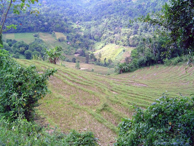 The drainage is east, away from Hantane and toward the Mahaweli.