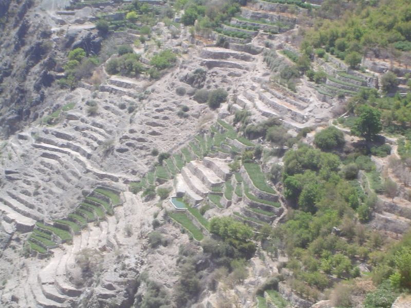 Off to the right: the lower terraces of Sharayjeh. Note the full pond, above and below bare terraces.